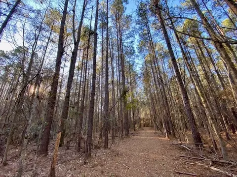 Other - 6113 Womack Rd, Summit, MS 39666 photo 4 of 8