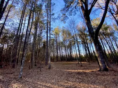 Exterior - 6113 Womack Rd, Summit, MS 39666 photo 14 of 29