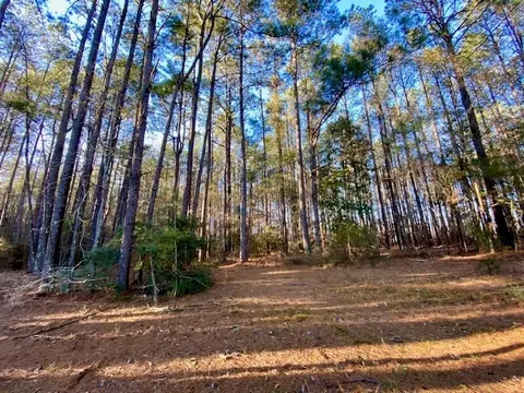 Exterior - 6113 Womack Rd, Summit, MS 39666 photo 15 of 29