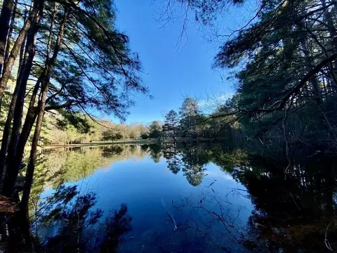 View/Area - 6113 Womack Rd, Summit, MS 39666 photo 5 of 5