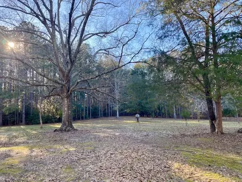 Exterior - 6113 Womack Rd, Summit, MS 39666 photo 10 of 29