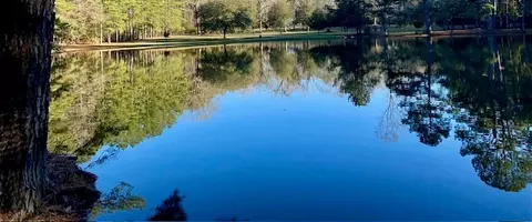 View/Area - 6113 Womack Rd, Summit, MS 39666 photo 3 of 5