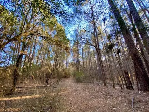 Other - 6113 Womack Rd, Summit, MS 39666 photo 5 of 8