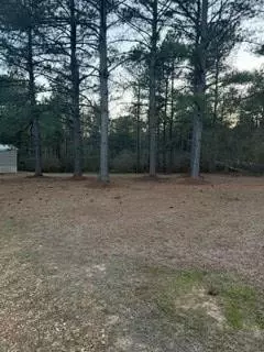 531 Jones St, New Hebron, MS 39140 photo 20