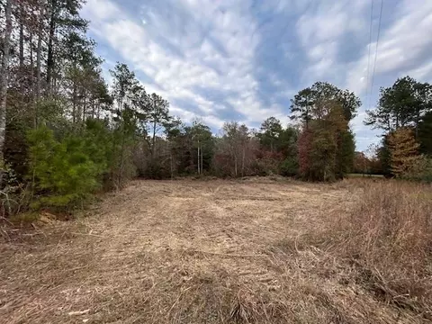 0 Milton Ln, Smithdale, MS 39664 photo 5