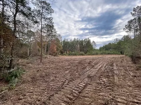 0 Milton Ln, Smithdale, MS 39664 photo 3