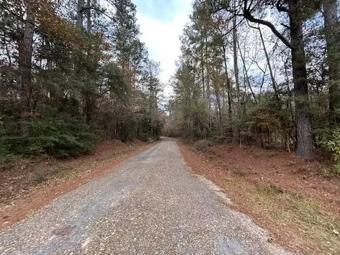 0 Milton Ln, Smithdale, MS 39664 photo 6