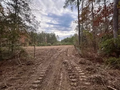 0 Milton Ln, Smithdale, MS 39664 photo 2