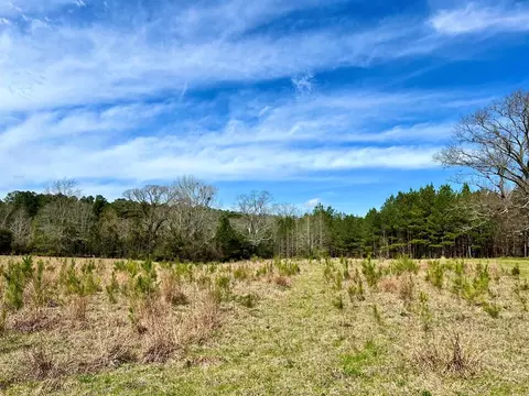 00 Hwy 24, Liberty, MS 39645