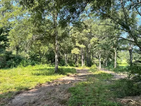 Tract A Welch Lane, Kentwood, LA 70444