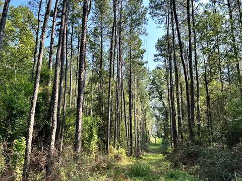 Tract B Welch Lane, Kentwood, LA 70444