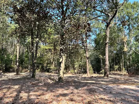 Tract F Welch Lane, Kentwood, LA 70444