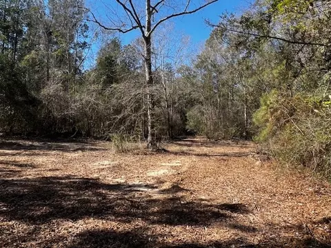 lot Apt 4 Jessie Stogner Rd, Sandy Hook, MS 39667 photo 3