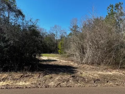 lot Apt 4 Jessie Stogner Rd, Sandy Hook, MS 39667 photo 4