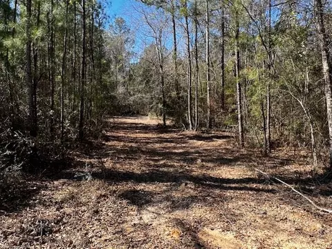 lot Apt 4 Jessie Stogner Rd, Sandy Hook, MS 39667 photo 2