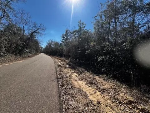 lot Apt 4 Jessie Stogner Rd, Sandy Hook, MS 39667 photo 5