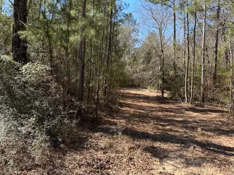 lot Apt 5 Jessie Stogner Rd, Sandy Hook, MS 39667