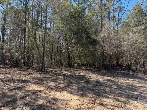 lot Apt 5 Jessie Stogner Rd, Sandy Hook, MS 39667 photo 5