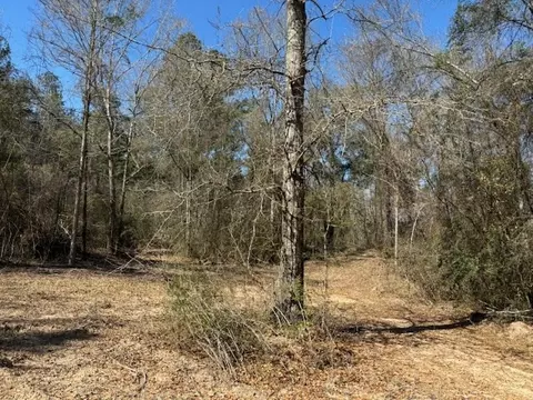 lot Apt 5 Jessie Stogner Rd, Sandy Hook, MS 39667 photo 4