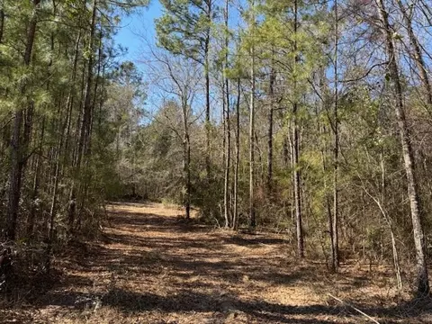 lot Apt 5 Jessie Stogner Rd, Sandy Hook, MS 39667 photo 2