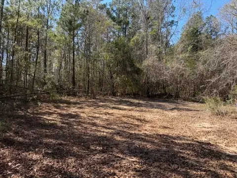lot Apt 5 Jessie Stogner Rd, Sandy Hook, MS 39667 photo 3
