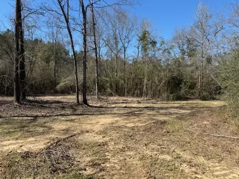 lot Apt 6 Jessie Stogner Rd, Sandy Hook, MS 39667 photo 2