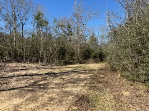 lot Apt 6 Jessie Stogner Rd, Sandy Hook, MS 39667 photo 4