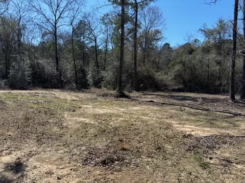 lot Apt 6 Jessie Stogner Rd, Sandy Hook, MS 39667