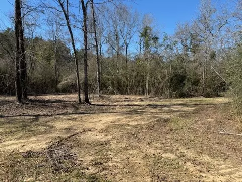 lot Apt 6 Jessie Stogner Rd, Sandy Hook, MS 39667 photo 3