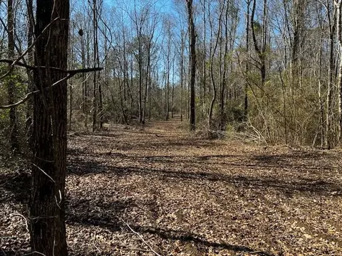 lot Apt 3 Jessie Stogner Rd, Sandy Hook, MS 39667 photo 2