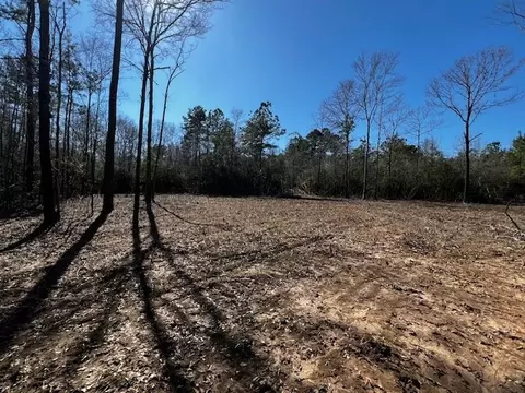 lot Apt 3 Jessie Stogner Rd, Sandy Hook, MS 39667 photo 6