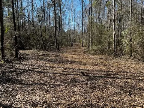 lot Apt 3 Jessie Stogner Rd, Sandy Hook, MS 39667 photo 3