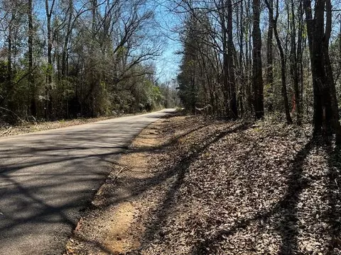 lot Apt 3 Jessie Stogner Rd, Sandy Hook, MS 39667