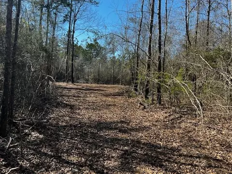 lot Apt 3 Jessie Stogner Rd, Sandy Hook, MS 39667 photo 5