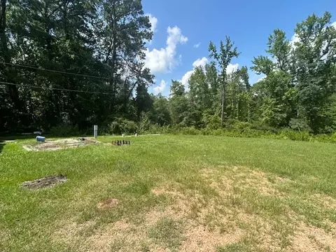 Exterior - 345 Rosetta Rd, Crosby, MS 39633 photo 7 of 13