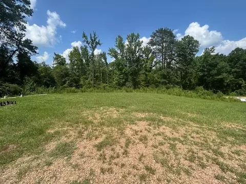 Exterior - 345 Rosetta Rd, Crosby, MS 39633 photo 6 of 13