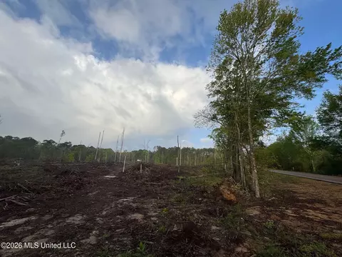 2 Hwy 24, Liberty, MS 39645 photo 3