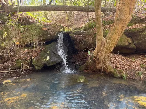 Nnn Jewell Drive, Mccomb, MS 39648