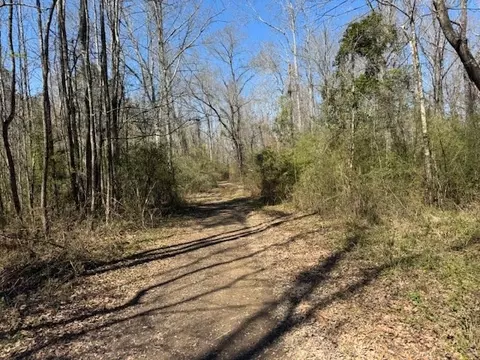 16 Robey Jefferson, Jayess, MS 39641 photo 29