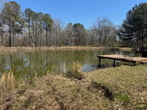 16 Robey Jefferson, Jayess, MS 39641 photo 26