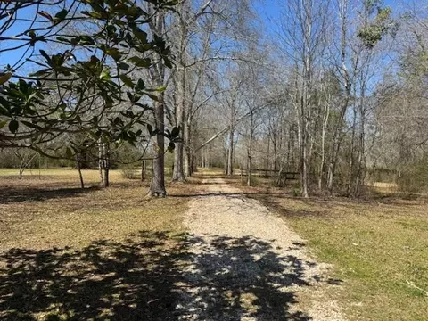 16 Robey Jefferson, Jayess, MS 39641 photo 16