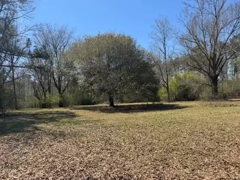 16 Robey Jefferson, Jayess, MS 39641 photo 35