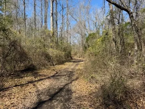 16 Robey Jefferson, Jayess, MS 39641 photo 31