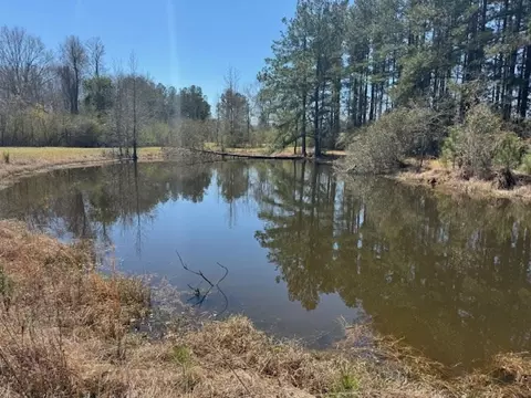 16 Robey Jefferson, Jayess, MS 39641 photo 32