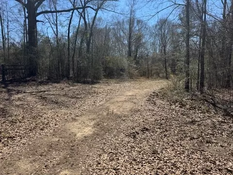 16 Robey Jefferson, Jayess, MS 39641 photo 28