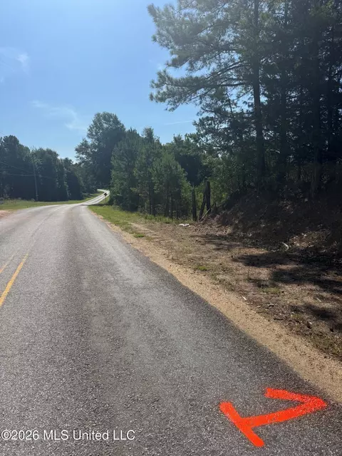 1 Co Rd 16, Pachuta, MS 39347 photo 13