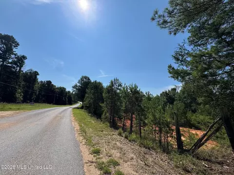 1 Co Rd 16, Pachuta, MS 39347 photo 11