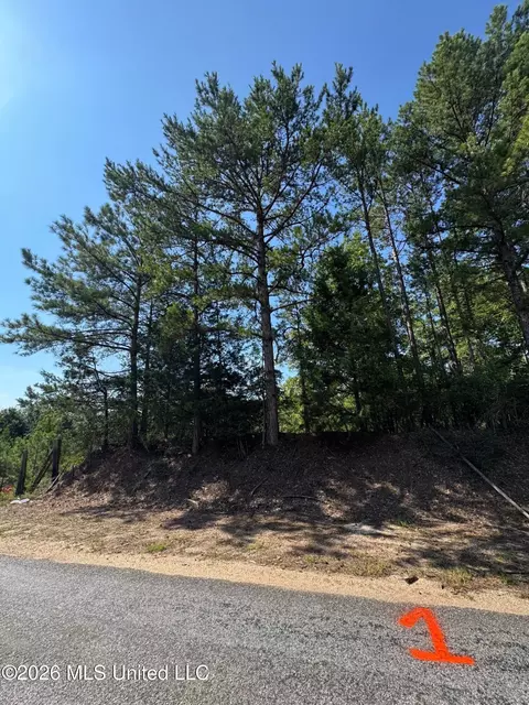 1 Co Rd 16, Pachuta, MS 39347 photo 12
