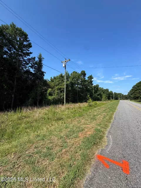 1 Co Rd 16, Pachuta, MS 39347 photo 14