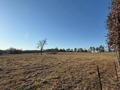 000 Roy Schmidt Rd, Sontag, MS 39665
